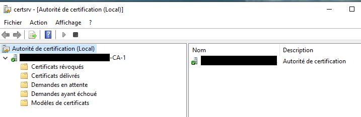 Console de l&rsquo;autorité de certification interne AD CS