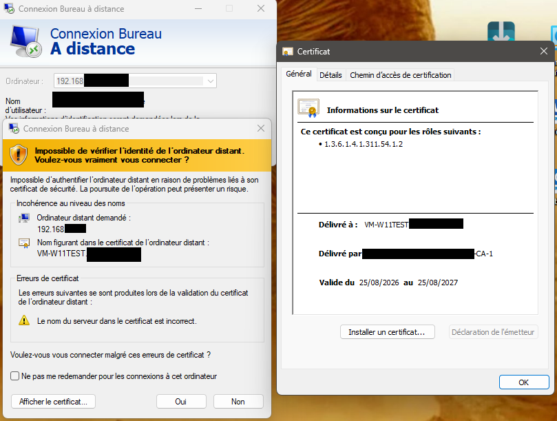 Test du pilote poste de travail par adresse IP — certificat présenté avec l&rsquo;EKU Remote Desktop Authentication