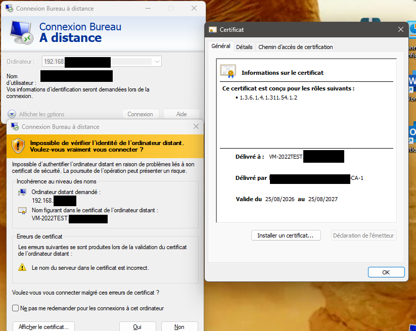 Test du pilote serveur par adresse IP, même vérification